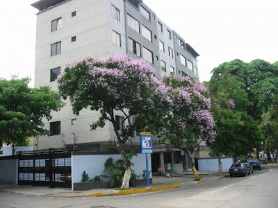 cytotec venta farmacias chile cytotec venta farmacias chile